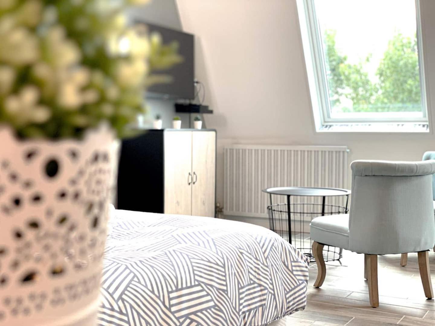 Masse Studio Cosy — *
